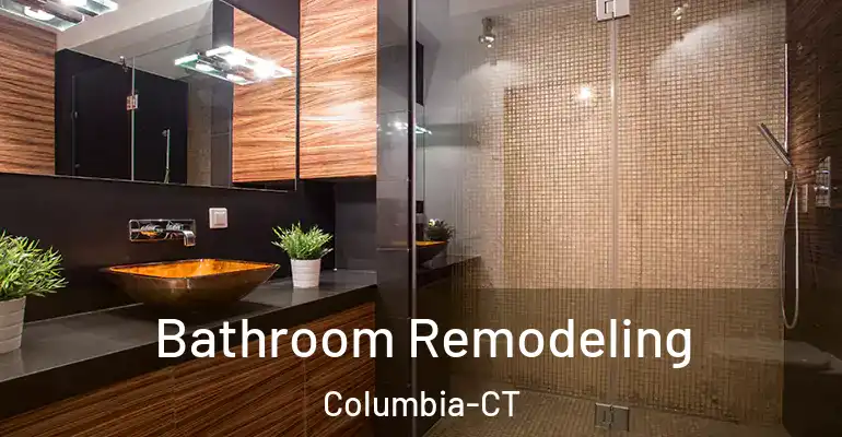 inner Bathroom imggen Bathroom Remodeling Columbia-CT