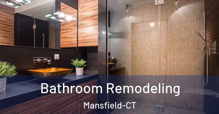 inner Bathroom imggen Bathroom Remodeling Mansfield-CT