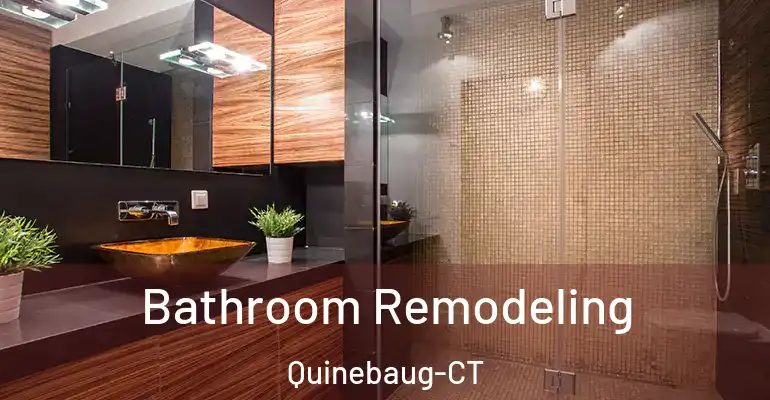 inner Bathroom imggen Bathroom Remodeling Quinebaug-CT