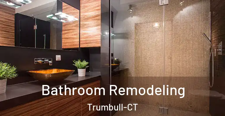 inner Bathroom imggen Bathroom Remodeling Trumbull-CT