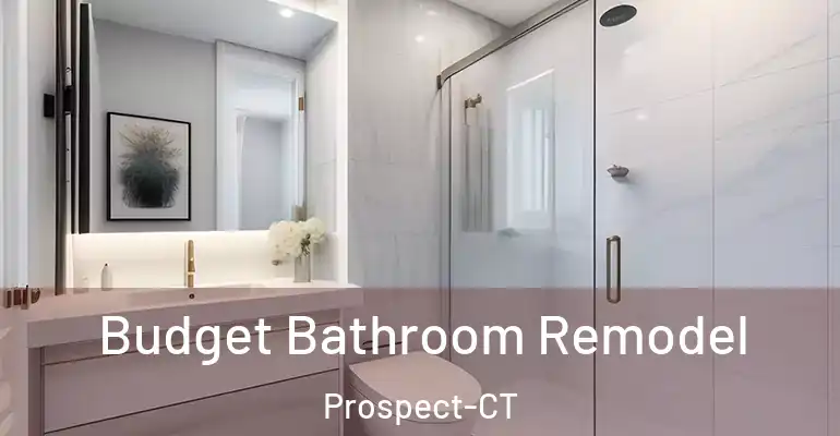 inner Bathroom imggen Budget Bathroom Remodel Prospect-CT
