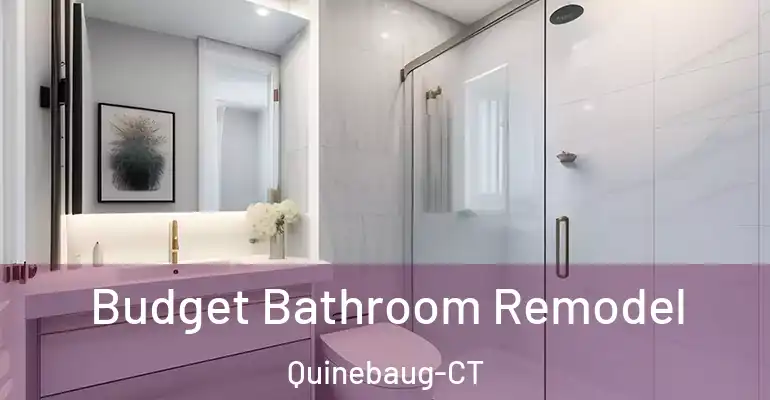 inner Bathroom imggen Budget Bathroom Remodel Quinebaug-CT