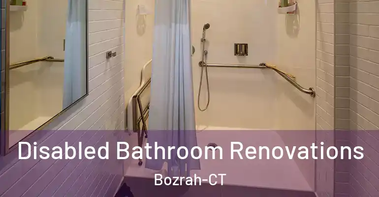 inner Bathroom imggen Disabled Bathroom Renovations Bozrah-CT