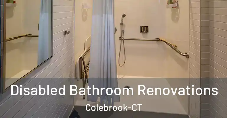 inner Bathroom imggen Disabled Bathroom Renovations Colebrook-CT