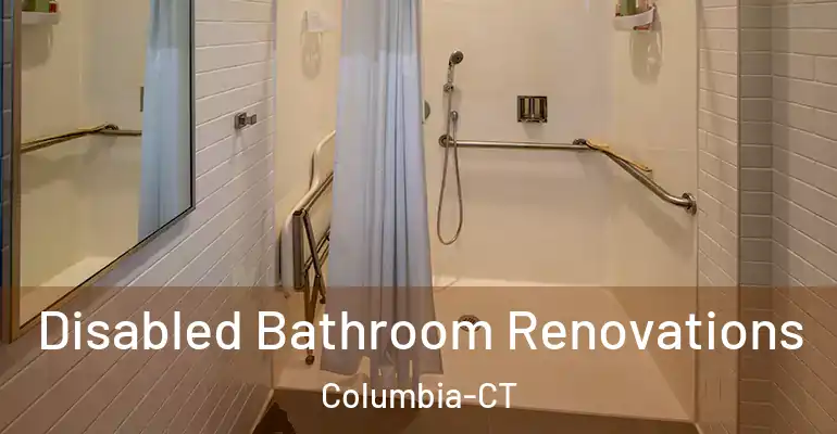 inner Bathroom imggen Disabled Bathroom Renovations Columbia-CT