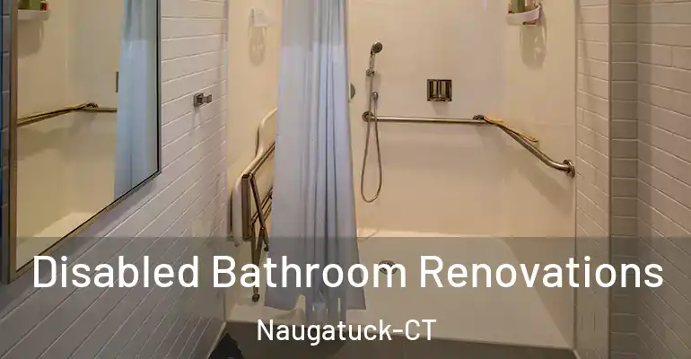 inner Bathroom imggen Disabled Bathroom Renovations Naugatuck-CT