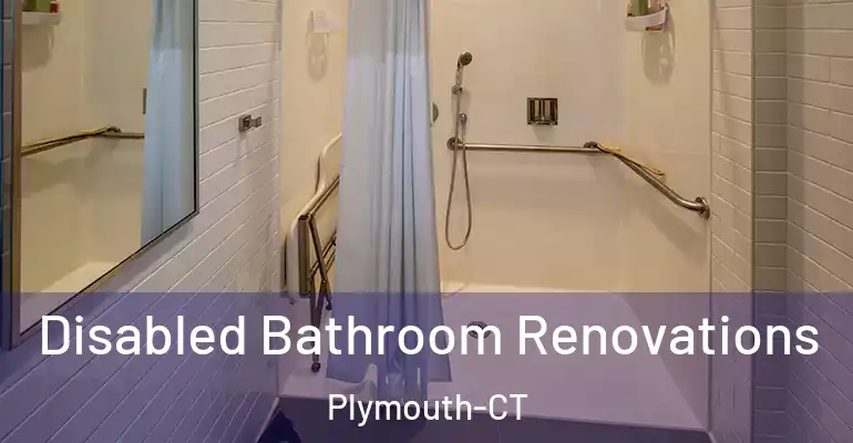 inner Bathroom imggen Disabled Bathroom Renovations Plymouth-CT