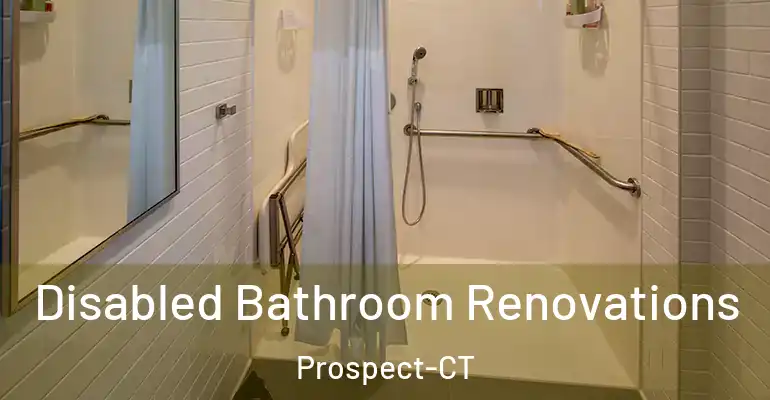 inner Bathroom imggen Disabled Bathroom Renovations Prospect-CT