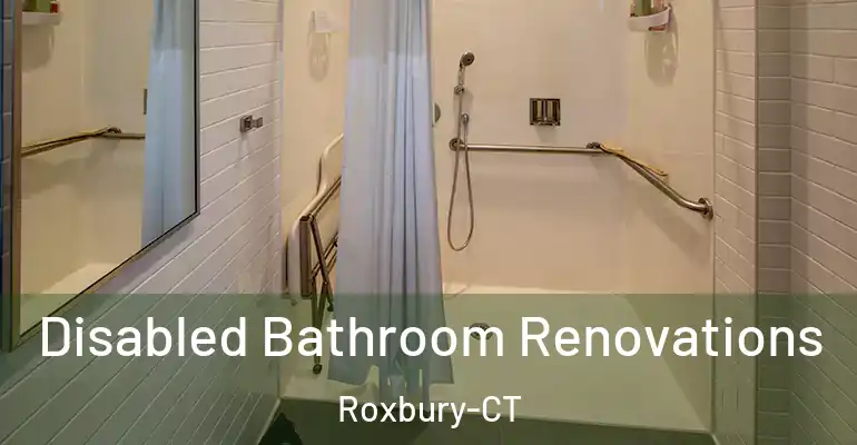 inner Bathroom imggen Disabled Bathroom Renovations Roxbury-CT