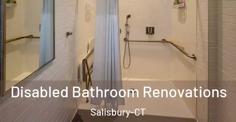 inner Bathroom imggen Disabled Bathroom Renovations Salisbury-CT