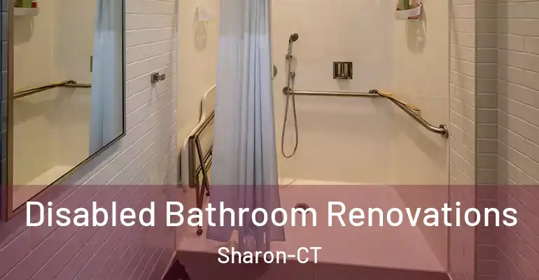 inner Bathroom imggen Disabled Bathroom Renovations Sharon-CT