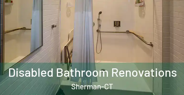 inner Bathroom imggen Disabled Bathroom Renovations Sherman-CT