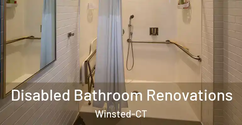 inner Bathroom imggen Disabled Bathroom Renovations Winsted-CT