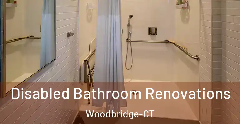 inner Bathroom imggen Disabled Bathroom Renovations Woodbridge-CT
