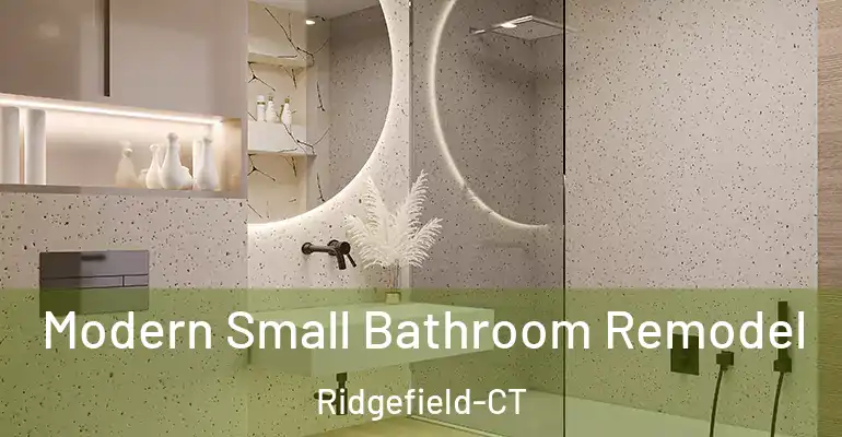 inner Bathroom imggen Modern Small Bathroom Remodel Ridgefield-CT
