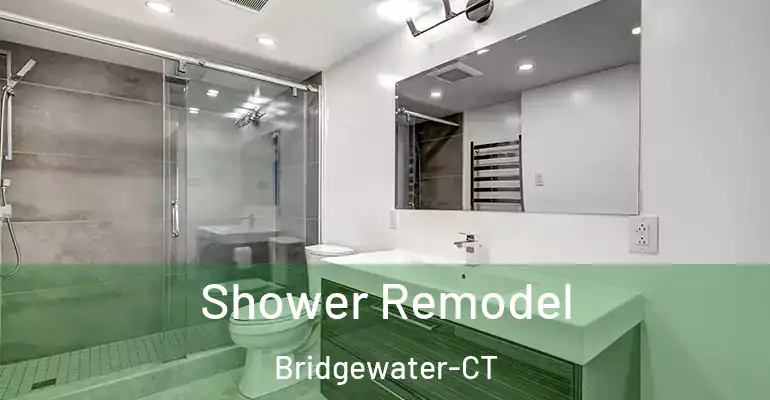 inner Bathroom imggen Shower Remodel Bridgewater-CT