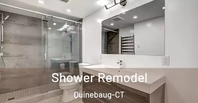 inner Bathroom imggen Shower Remodel Quinebaug-CT