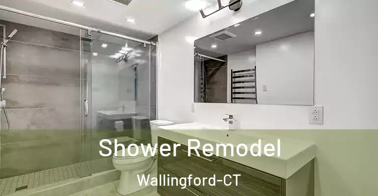 inner Bathroom imggen Shower Remodel Wallingford-CT