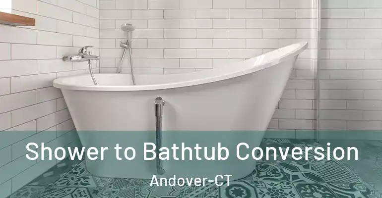 inner Bathroom imggen Shower to Bathtub Conversion Andover-CT