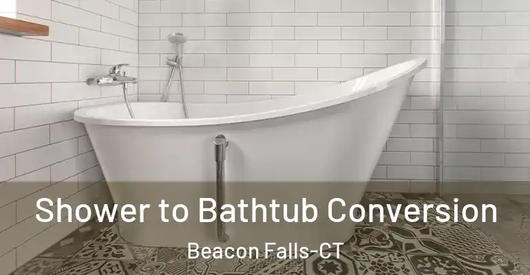 inner Bathroom imggen Shower to Bathtub Conversion Beacon Falls-CT