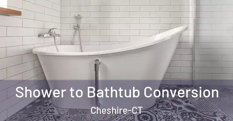 inner Bathroom imggen Shower to Bathtub Conversion Cheshire-CT