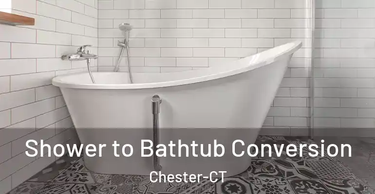 inner Bathroom imggen Shower to Bathtub Conversion Chester-CT