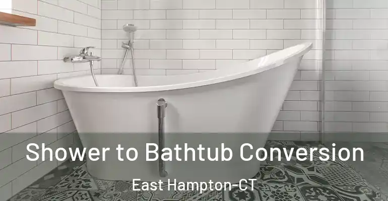 inner Bathroom imggen Shower to Bathtub Conversion East Hampton-CT
