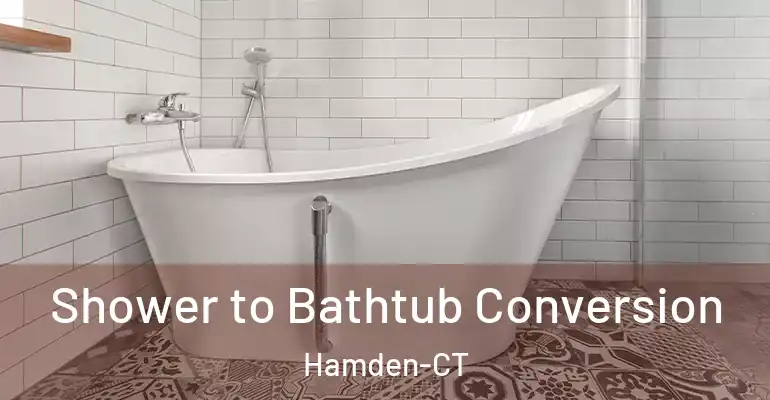 inner Bathroom imggen Shower to Bathtub Conversion Hamden-CT