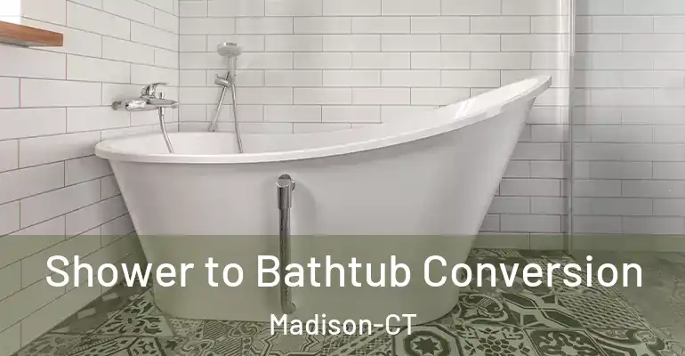 inner Bathroom imggen Shower to Bathtub Conversion Madison-CT