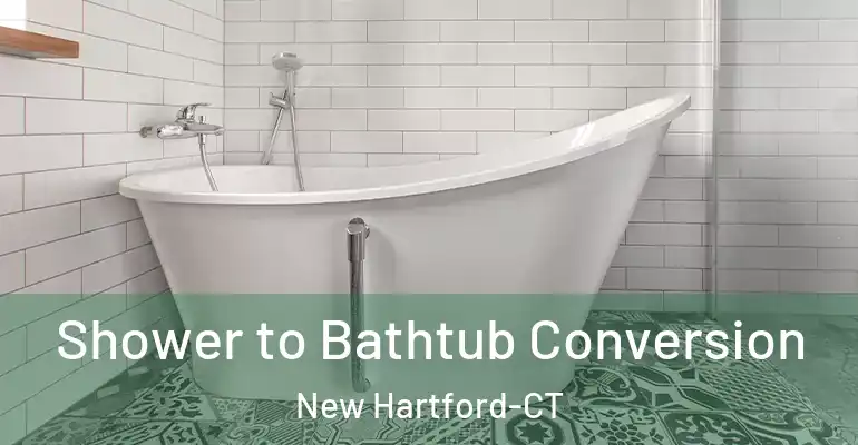 inner Bathroom imggen Shower to Bathtub Conversion New Hartford-CT