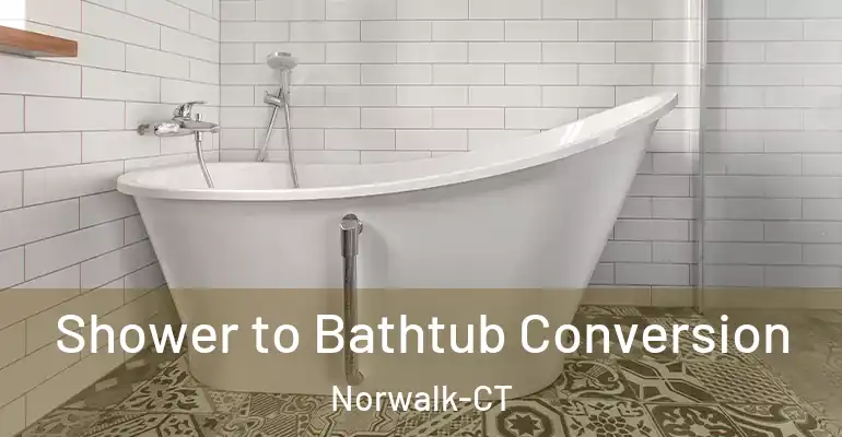 inner Bathroom imggen Shower to Bathtub Conversion Norwalk-CT