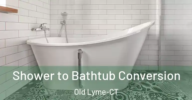 inner Bathroom imggen Shower to Bathtub Conversion Old Lyme-CT