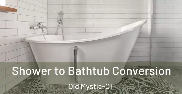 inner Bathroom imggen Shower to Bathtub Conversion Old Mystic-CT