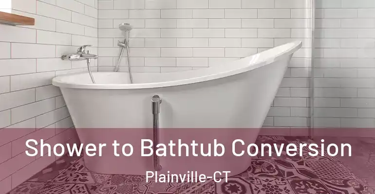 inner Bathroom imggen Shower to Bathtub Conversion Plainville-CT