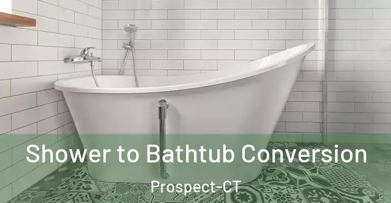 inner Bathroom imggen Shower to Bathtub Conversion Prospect-CT