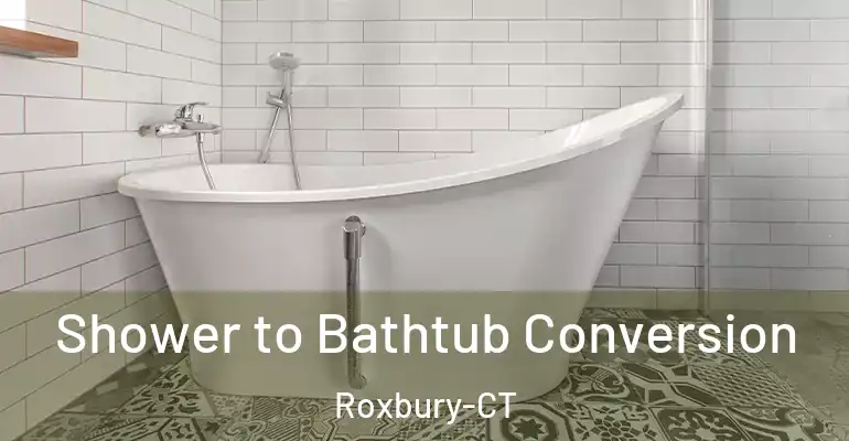inner Bathroom imggen Shower to Bathtub Conversion Roxbury-CT