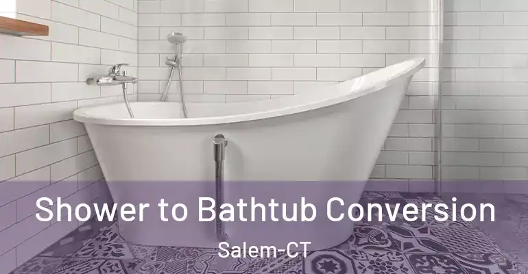 inner Bathroom imggen Shower to Bathtub Conversion Salem-CT