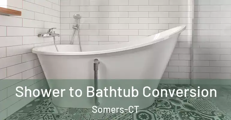 inner Bathroom imggen Shower to Bathtub Conversion Somers-CT