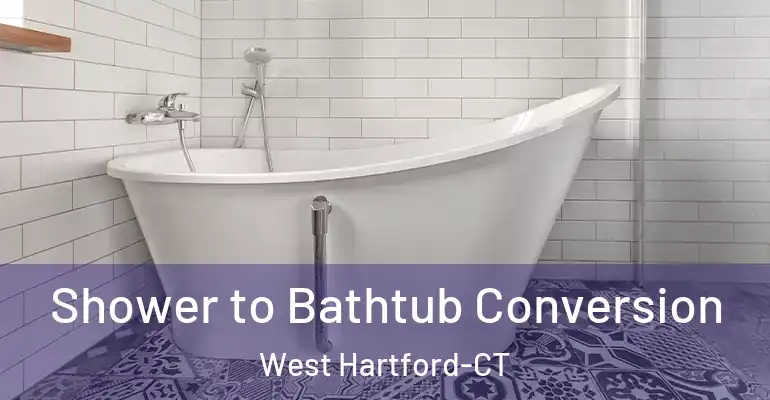 inner Bathroom imggen Shower to Bathtub Conversion West Hartford-CT