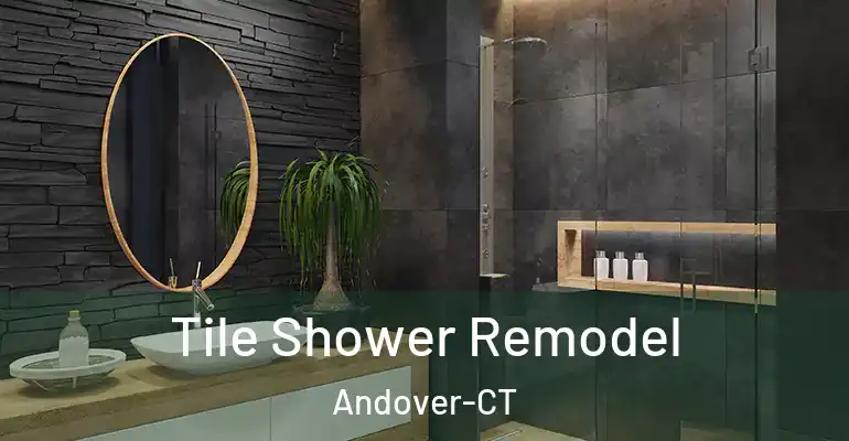 inner Bathroom imggen Tile Shower Remodel Andover-CT