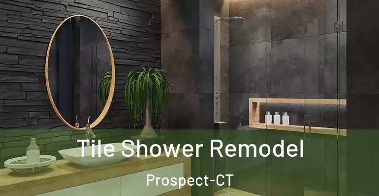 inner Bathroom imggen Tile Shower Remodel Prospect-CT