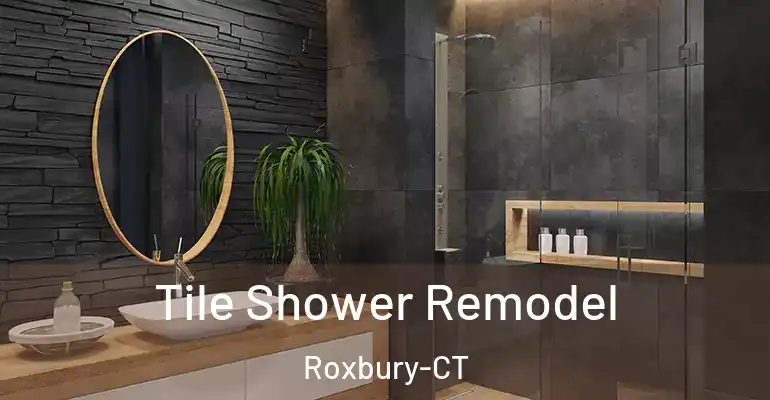 inner Bathroom imggen Tile Shower Remodel Roxbury-CT