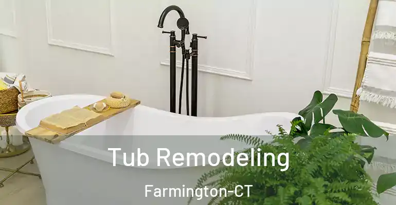 inner Bathroom imggen Tub Remodeling Farmington-CT