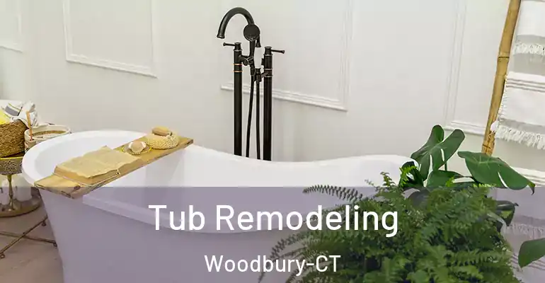 inner Bathroom imggen Tub Remodeling Woodbury-CT