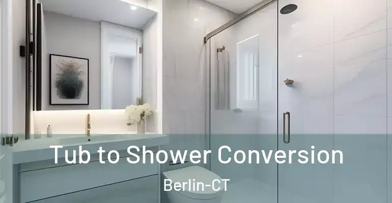 inner Bathroom imggen Tub to Shower Conversion Berlin-CT