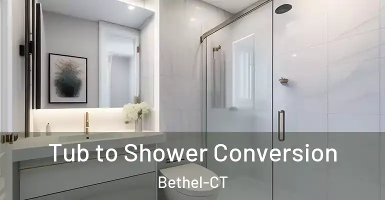inner Bathroom imggen Tub to Shower Conversion Bethel-CT
