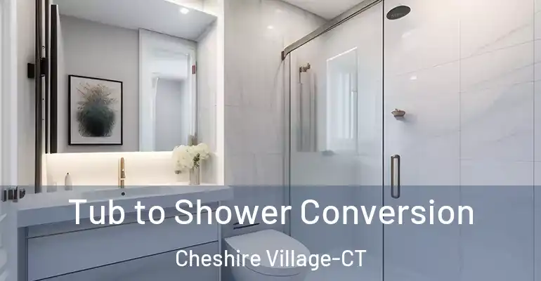 inner Bathroom imggen Tub to Shower Conversion Cheshire Village-CT