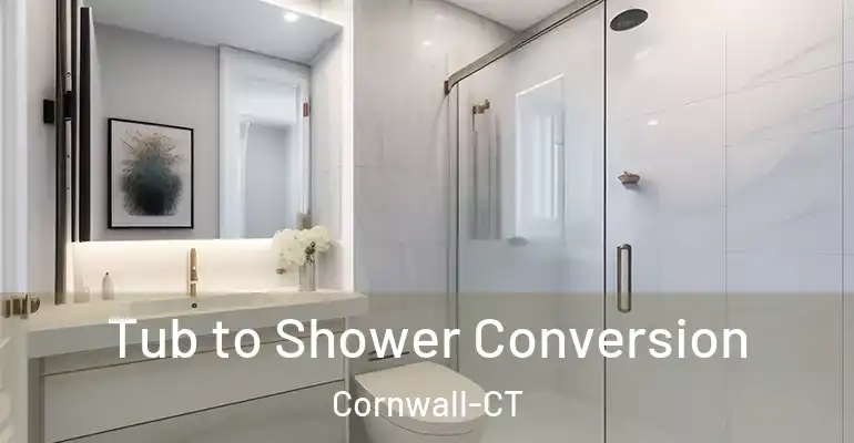 inner Bathroom imggen Tub to Shower Conversion Cornwall-CT
