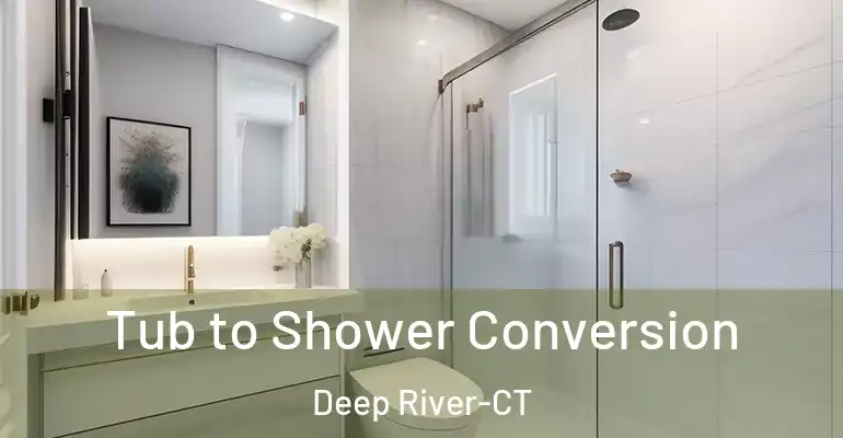 inner Bathroom imggen Tub to Shower Conversion Deep River-CT