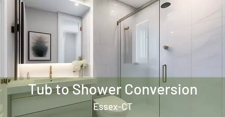 inner Bathroom imggen Tub to Shower Conversion Essex-CT